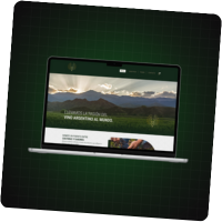Desarrollo web